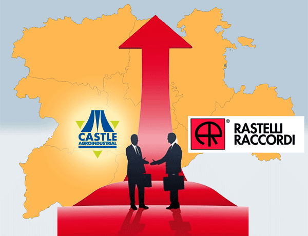 Distribución oficial de Rastelli Raccordi